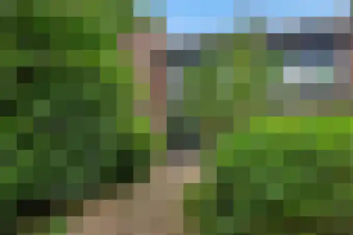 Rompertcentrum 10 's-Hertogenbosch thumbnail 21