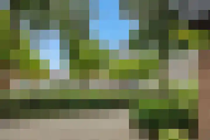 Rompertcentrum 10 's-Hertogenbosch thumbnail 25