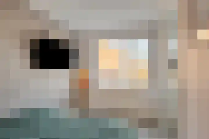 Rompertcentrum 89 's-Hertogenbosch thumbnail 27