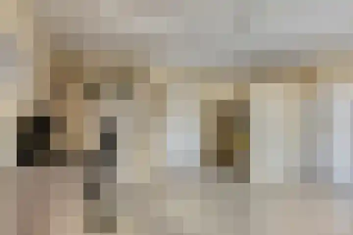 Rompertcentrum 89 's-Hertogenbosch thumbnail 5