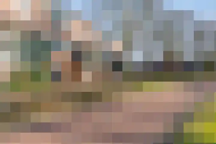 Rompertcentrum 89 's-Hertogenbosch thumbnail 6