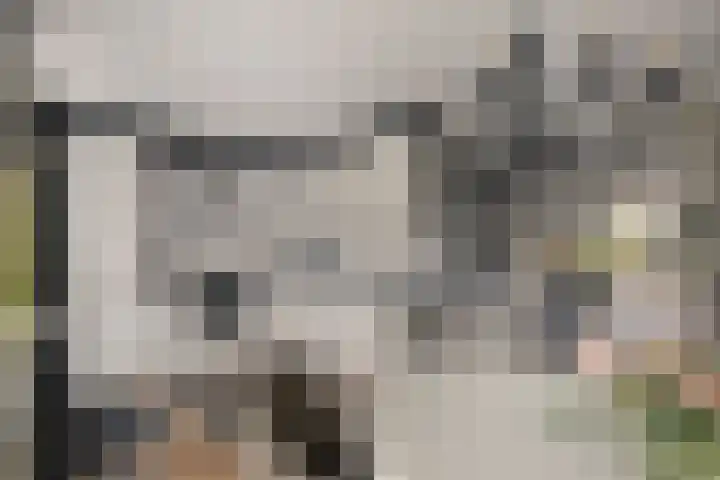 Rompertdreef 33 's-Hertogenbosch thumbnail 15