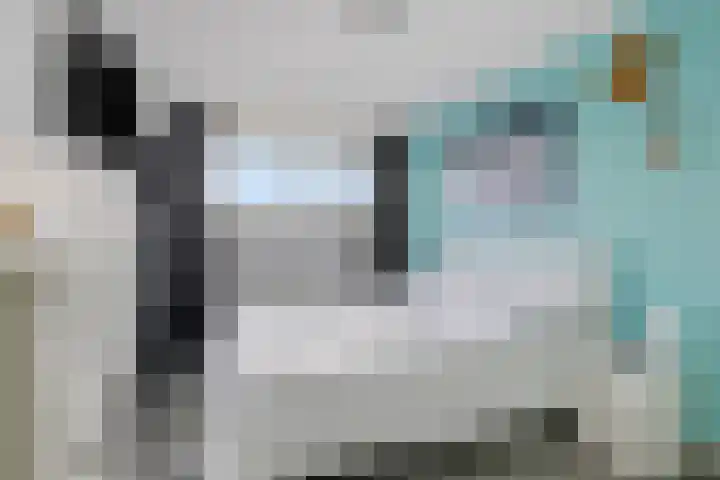 Rompertdreef 33 's-Hertogenbosch thumbnail 18