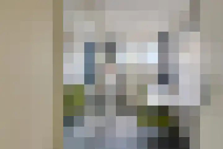 Rompertdreef 33 's-Hertogenbosch thumbnail 21