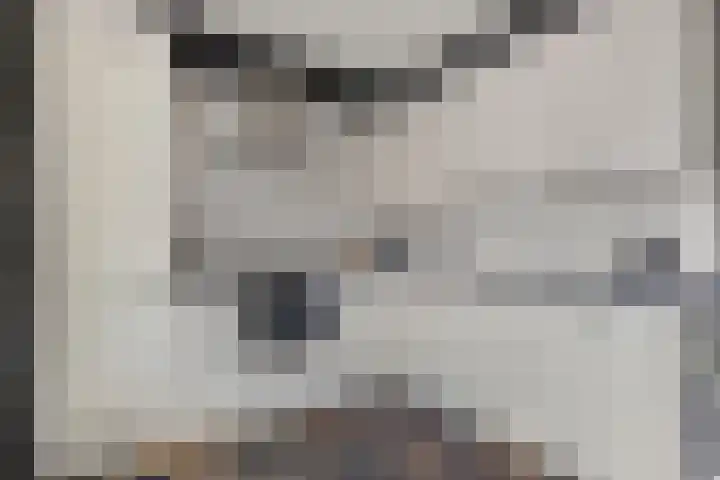 Rompertdreef 33 's-Hertogenbosch thumbnail 9