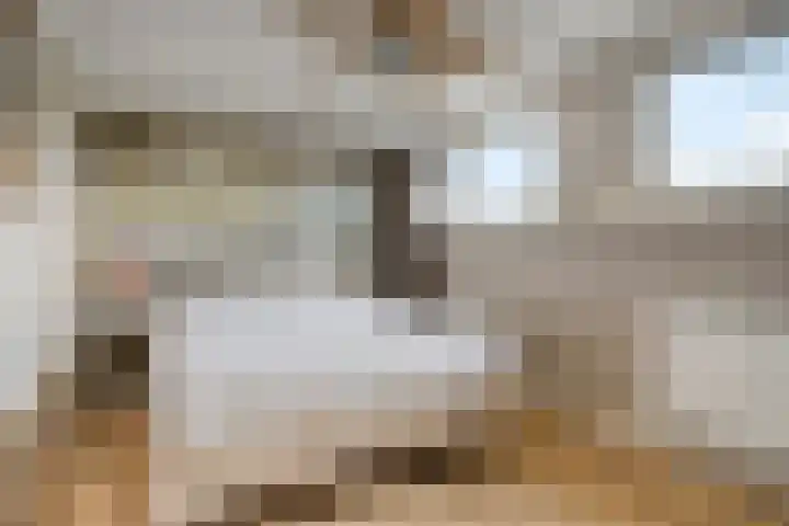 Rompertdreef 56 's-Hertogenbosch thumbnail 12