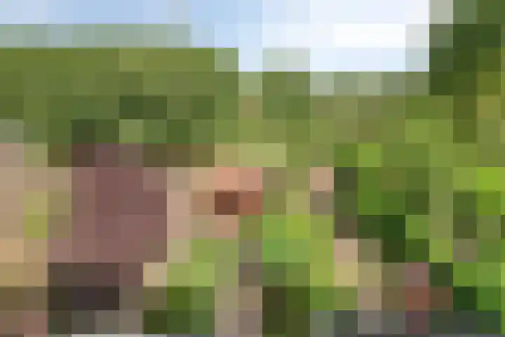 Rompertdreef 56 's-Hertogenbosch thumbnail 17