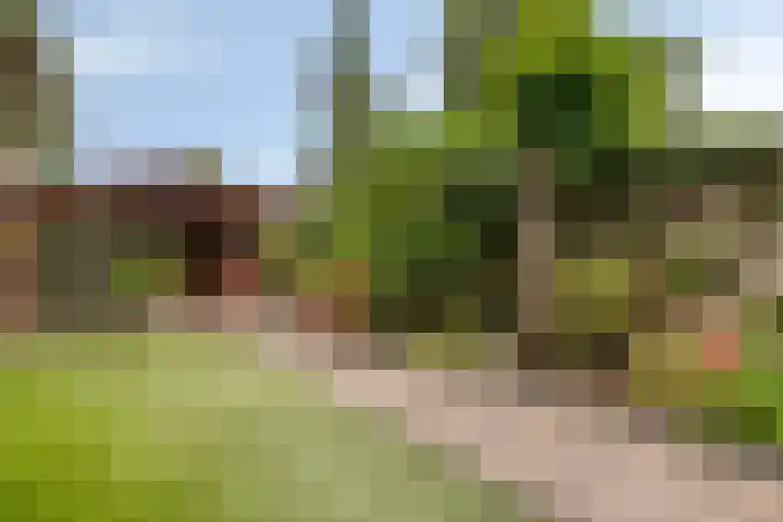 Rompertdreef 56 's-Hertogenbosch thumbnail 19