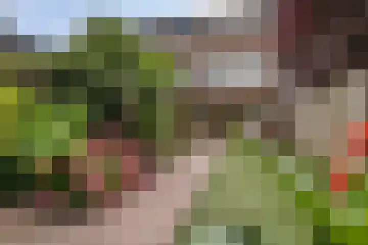 Rompertdreef 56 's-Hertogenbosch thumbnail 22