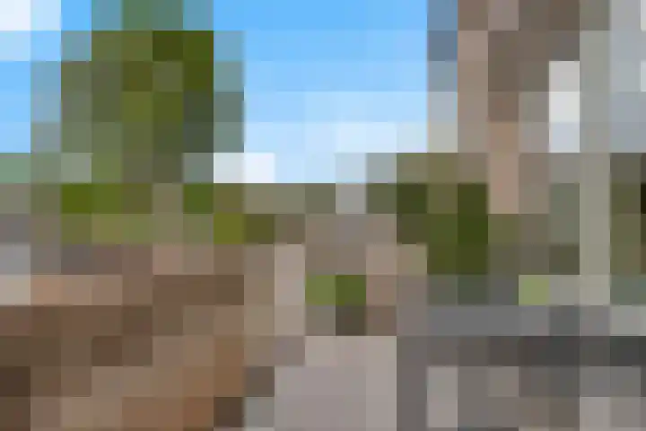 Rompertdreef 56 's-Hertogenbosch thumbnail 8