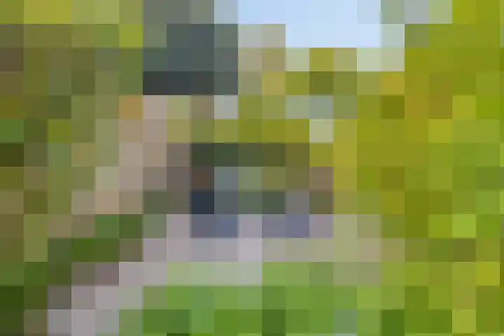 Rompertdreef 68 's-Hertogenbosch thumbnail 29