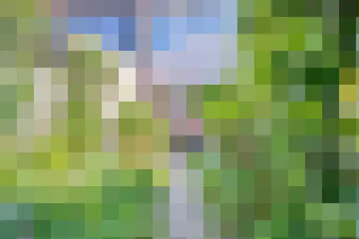 Rompertdreef 68 's-Hertogenbosch thumbnail 31