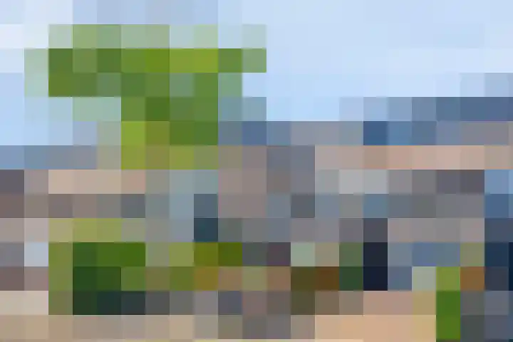 Rompertdreef 68 's-Hertogenbosch thumbnail 32