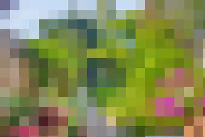 Rompertdreef 68 's-Hertogenbosch thumbnail 4