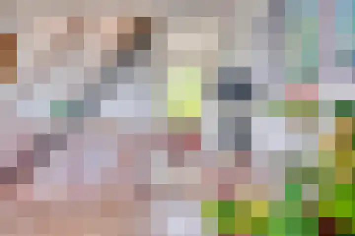 Rompertdreef 68 's-Hertogenbosch thumbnail 9