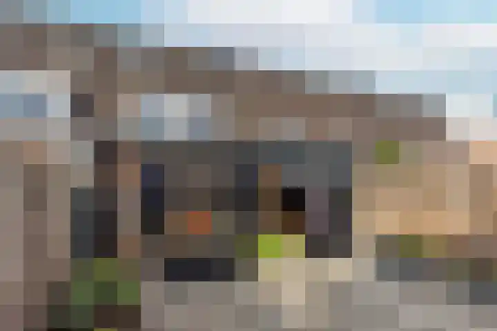 Romulus 174 Wijk bij Duurstede thumbnail 20