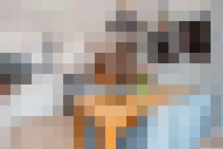 Romulus 174 Wijk bij Duurstede thumbnail 6