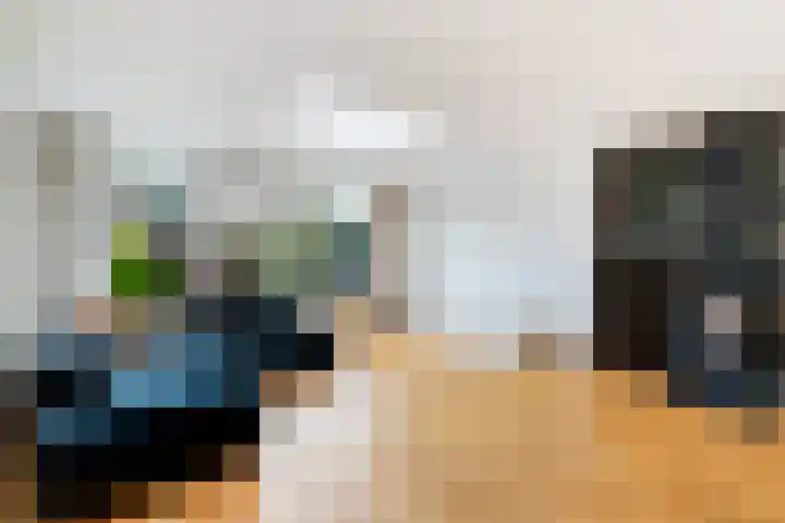 Romulus 24 Wijk bij Duurstede thumbnail 10