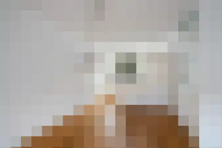 Romulus 24 Wijk bij Duurstede thumbnail 12
