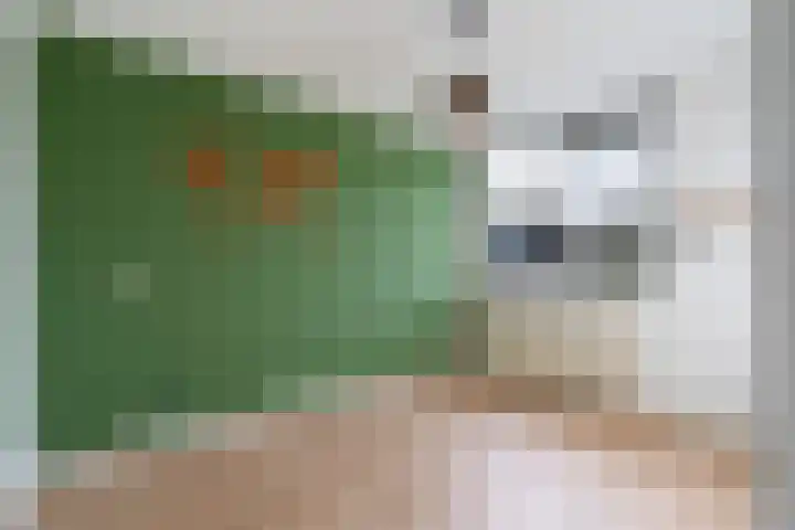 Romulus 24 Wijk bij Duurstede thumbnail 17