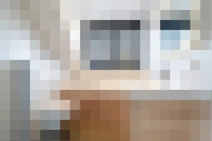 Romulus 24 Wijk bij Duurstede thumbnail 21