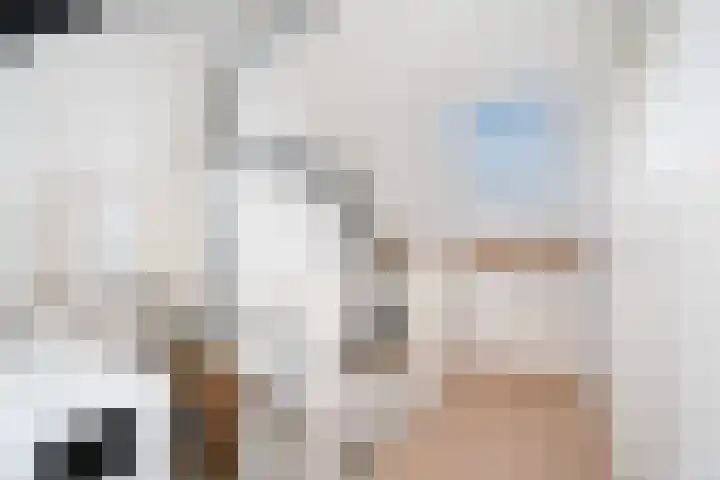 Romulus 24 Wijk bij Duurstede thumbnail 27