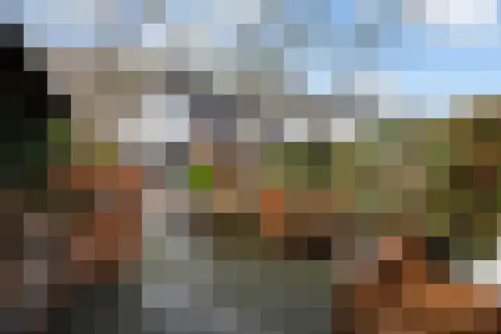 Romulus 24 Wijk bij Duurstede thumbnail 29