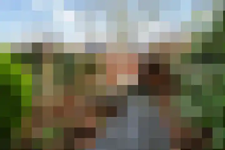 Romulus 24 Wijk bij Duurstede thumbnail 31