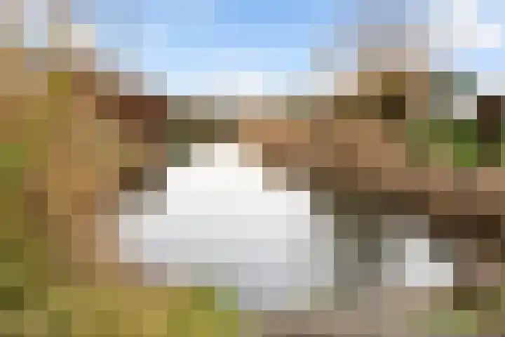 Romulus 24 Wijk bij Duurstede thumbnail 36