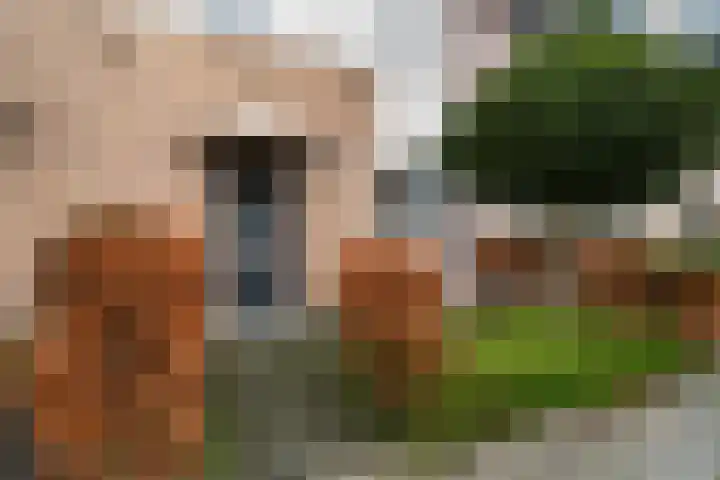 Romulus 24 Wijk bij Duurstede thumbnail 5