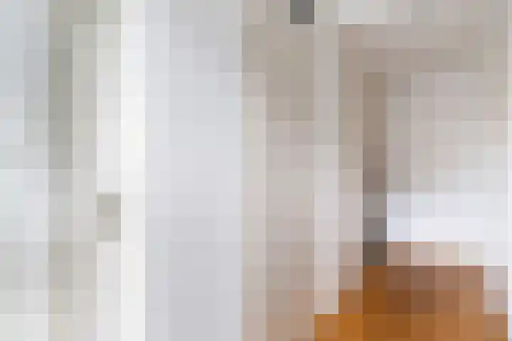 Romulus 24 Wijk bij Duurstede thumbnail 7