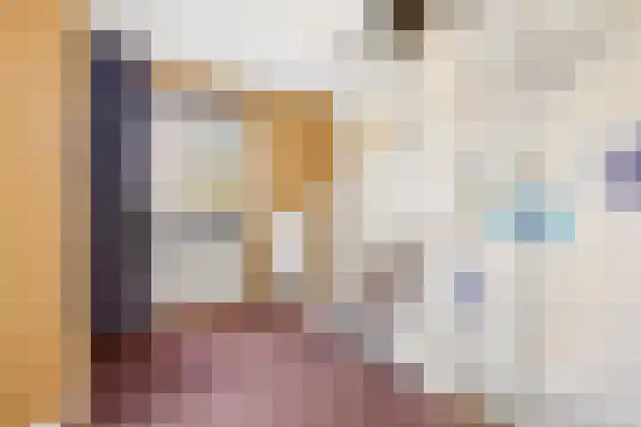 Romulus 33 Wijk bij Duurstede thumbnail 18