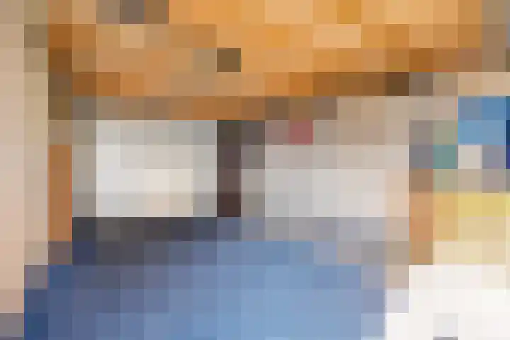 Romulus 33 Wijk bij Duurstede thumbnail 37