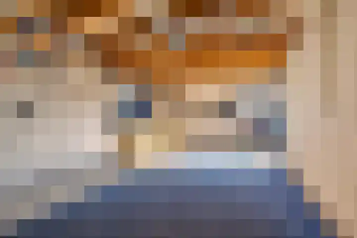 Romulus 33 Wijk bij Duurstede thumbnail 38