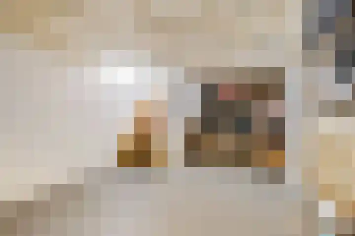 Romulus 33 Wijk bij Duurstede thumbnail 40