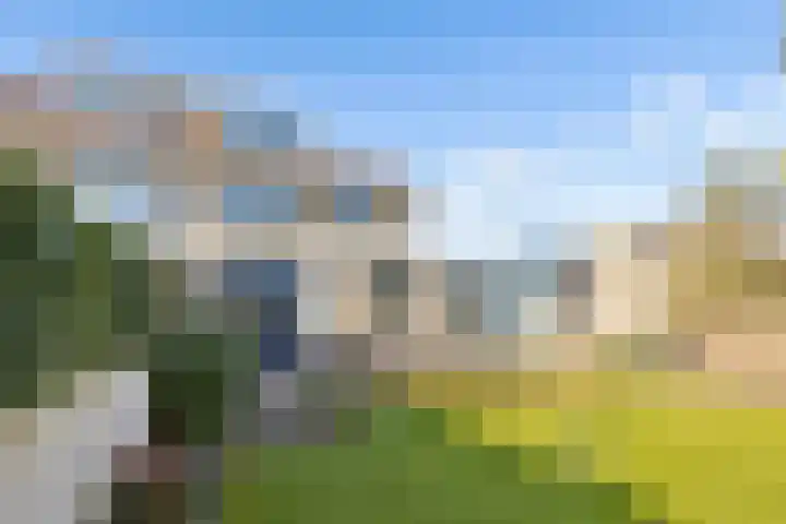 Romulus 33 Wijk bij Duurstede thumbnail 42