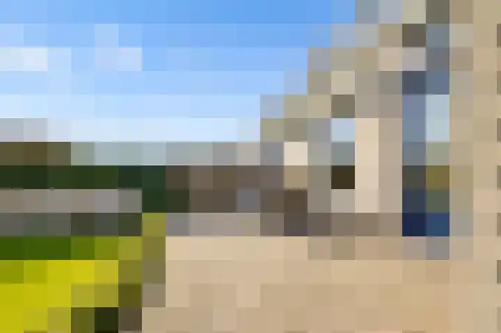 Romulus 33 Wijk bij Duurstede thumbnail 43
