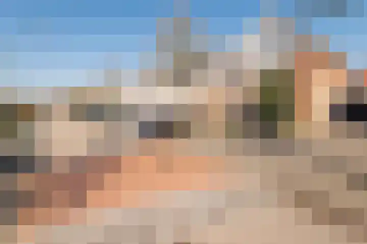 Romulus 50 Wijk bij Duurstede thumbnail 37