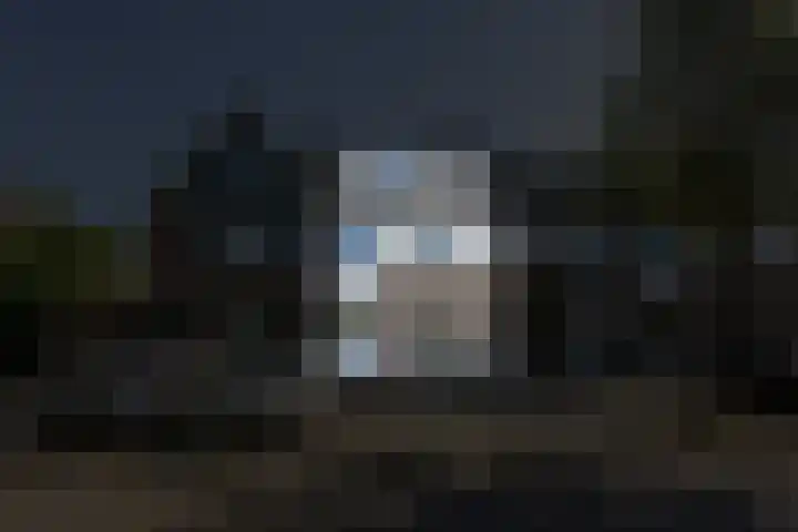 Romulus 62 Wijk bij Duurstede thumbnail 32