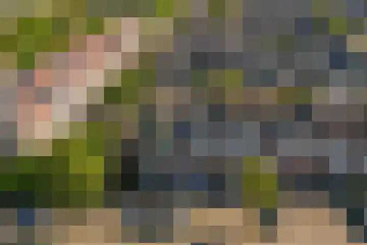 Romulus 62 Wijk bij Duurstede thumbnail 37