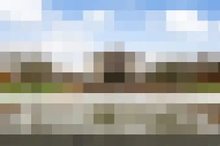 Romulus 76 Wijk bij Duurstede thumbnail 27