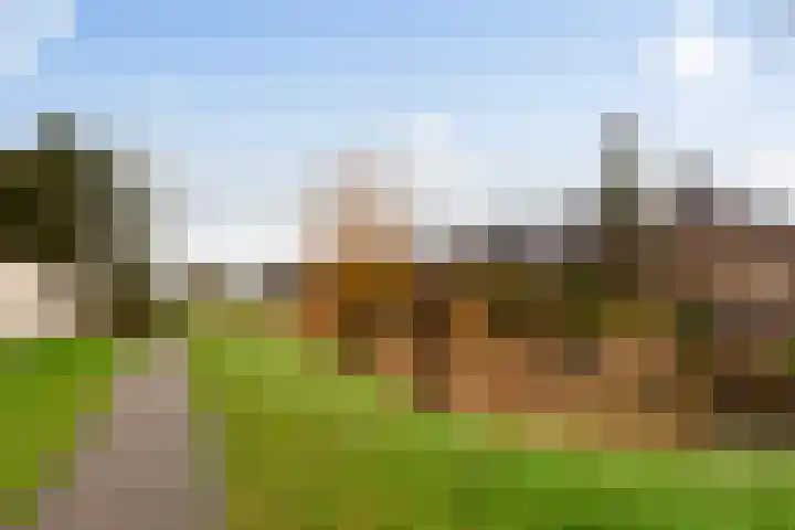 Romulus 76 Wijk bij Duurstede thumbnail 29