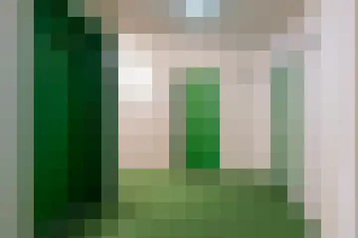 Romulus 76 Wijk bij Duurstede thumbnail 5