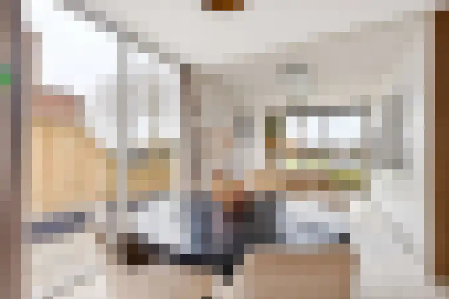 Romy Schneiderweg 39 Almere thumbnail 19