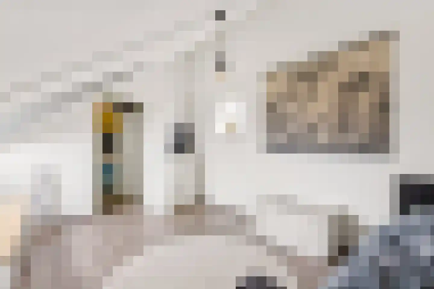 Romy Schneiderweg 39 Almere thumbnail 52