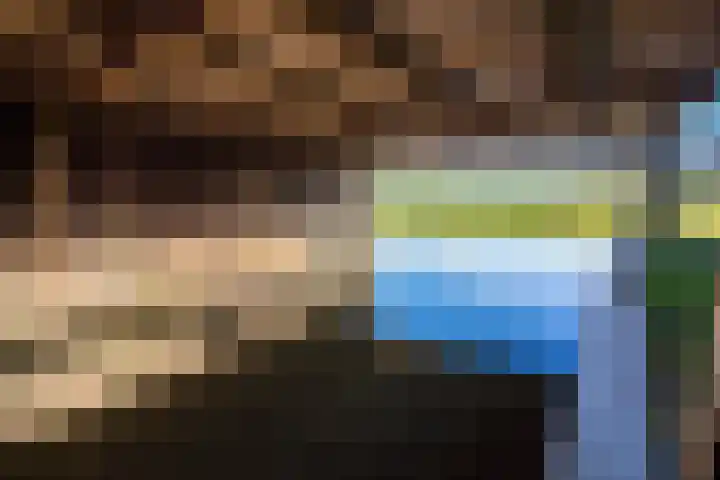 Foto van Ronald Visser