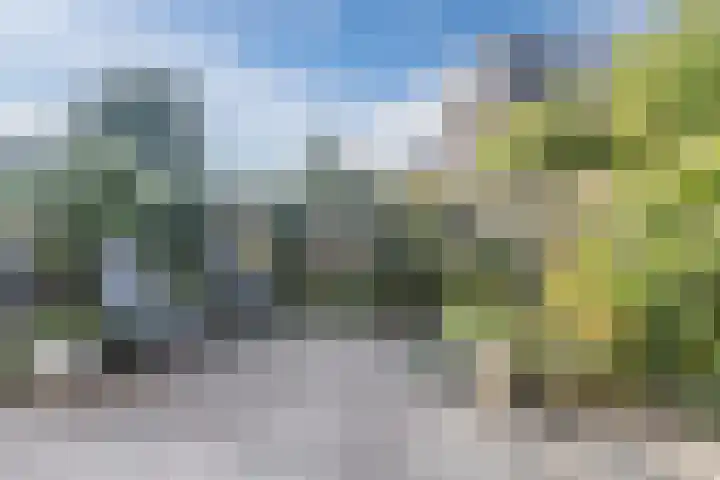 Rond de Watertoren 11 Bodegraven thumbnail 60