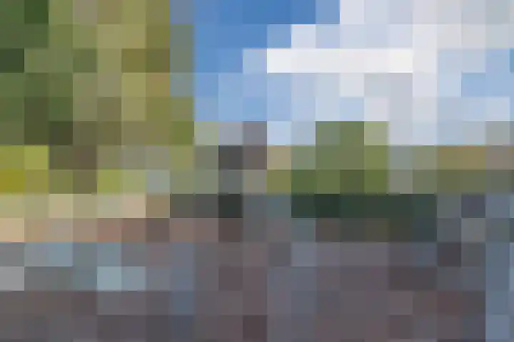 Rond de Watertoren 11 Bodegraven thumbnail 64