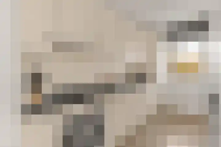 Rondeel 15 Leusden thumbnail 7