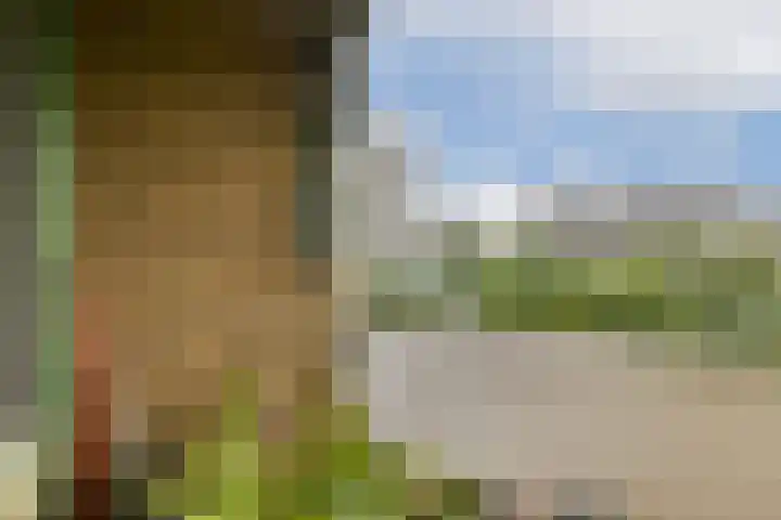 Rondeel 156 Amsterdam thumbnail 10